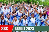 SSC Result 2013: All Education Board Result & Download Mark sheet.
